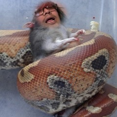 Devil Doesn't Love Me Now (Prod. div)