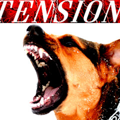 TENSION