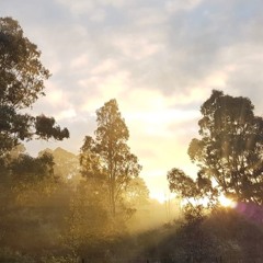 Its simple sometimes