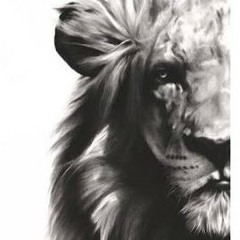 Punialava'a - Fautuaga i Tupulaga