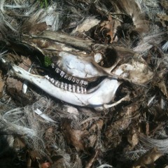 Love - as in need, not a basic form