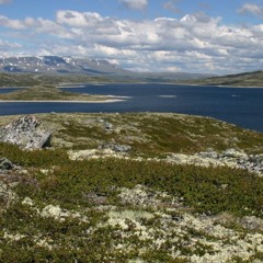 CoolHaven Quintet - Hardangervidda