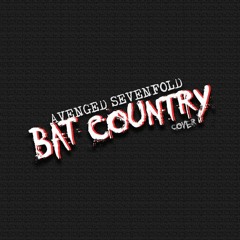 Salt Warehouse - Bat Country(Cover of Avenged Sevenfold)