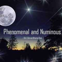 Phenomenal And Numinous -Giri Govardhana Das