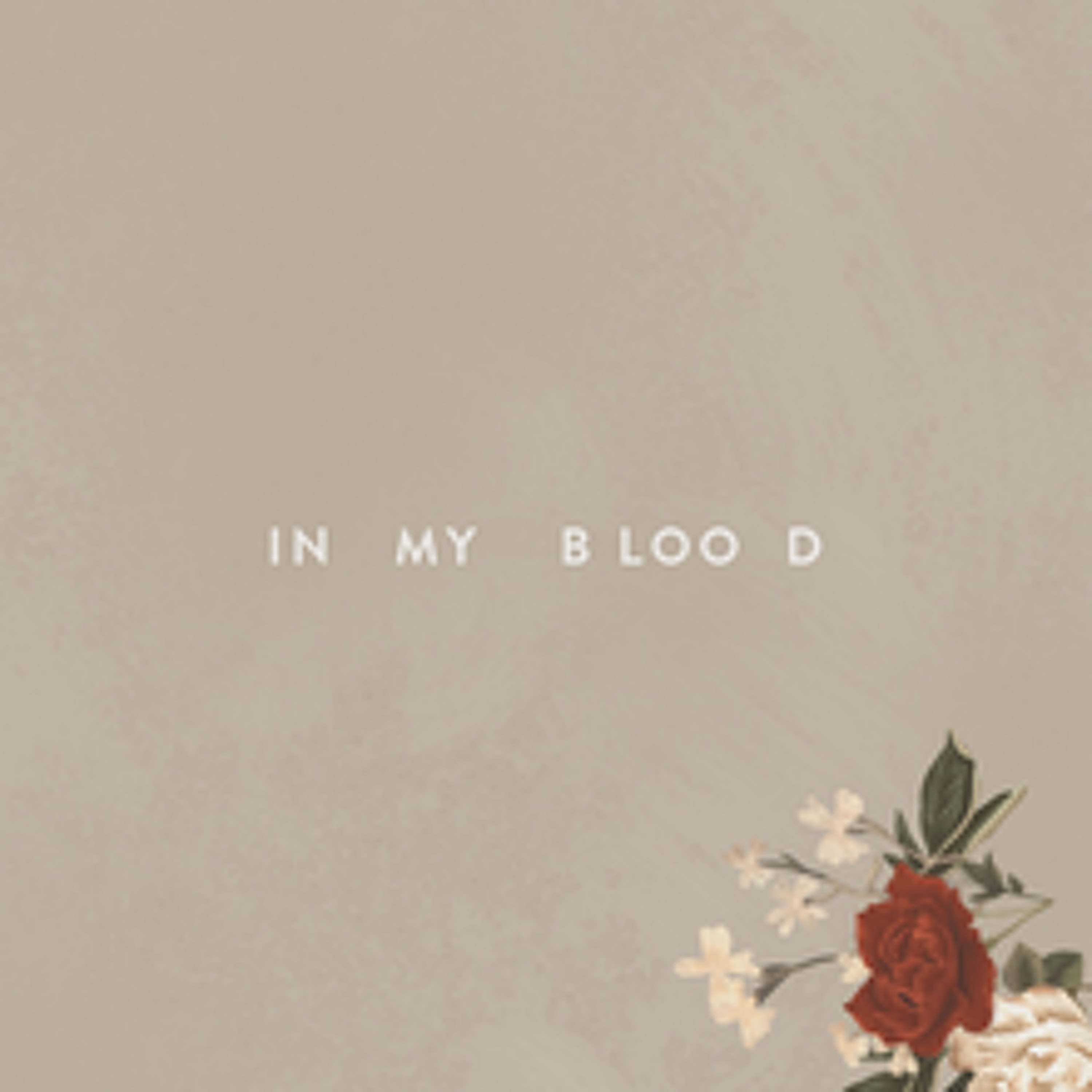 In My Blood / Shawn Mendes