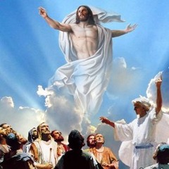 Chúa Là Nguồn Vui Của Con (Deus fons est gaudium)
