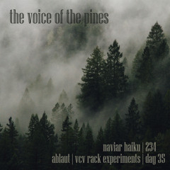 the voice of the pines [naviarhaiku234]