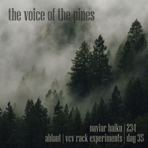 the voice of the pines [naviarhaiku234]