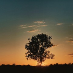 Sunt un nebun (cover Mihai Margineanu)