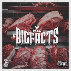 MIZ - Hottest Shit Ever (prod. Page Turner)