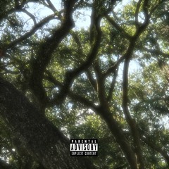 That’s How You Feel Freestyle Clarification