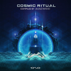 V.A - Cosmic Ritual @ Iono Music || One Function - Imagine Yourself (Noize Method Remix)