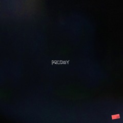 PRODIGY (prod. rx!)