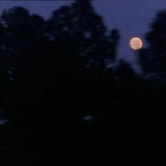 LET THE BODIES HIT THE FLOW (PROD. CHUPI)