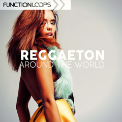 Function Loops -   Reggaeton Around The World