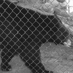 The Earth Deserves Your Blood