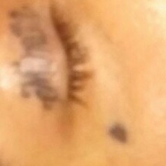 Sounds from Monday afternoon