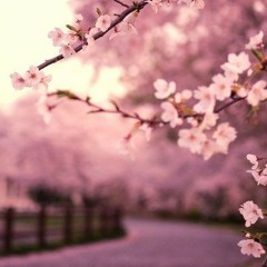Sau này hãy gặp lại nhau khi hoa nở - GlowD.