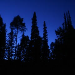 Black Metal Instrumental 2