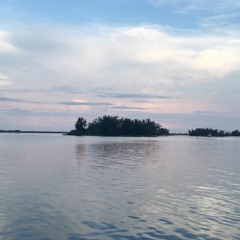 All Is Full Of Love - Cover