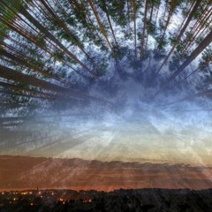 Freehand [2016.07.07] Deep Ecology