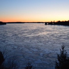 Freehand [2016.03.20] Rosebud Meltdown