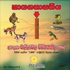 බුදුරජාණන්වහන්සේ කෙරෙහි අප ඇතිකරගත යුතු ශ්‍රද්ධාව කුමක්ද