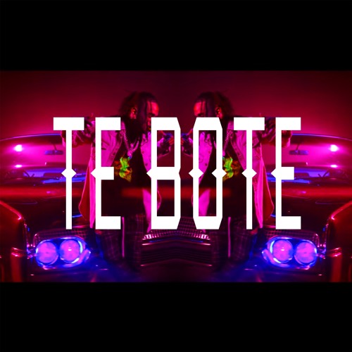 Te Bote (LUNY Moombahton Edit)