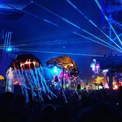 Fusion Festival 2018 - All Sets