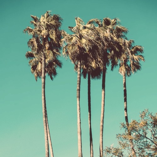 blissful days [wun for Zoller Attila]