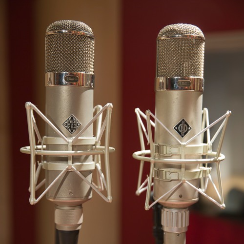 NEUMANN TLM49 伴い