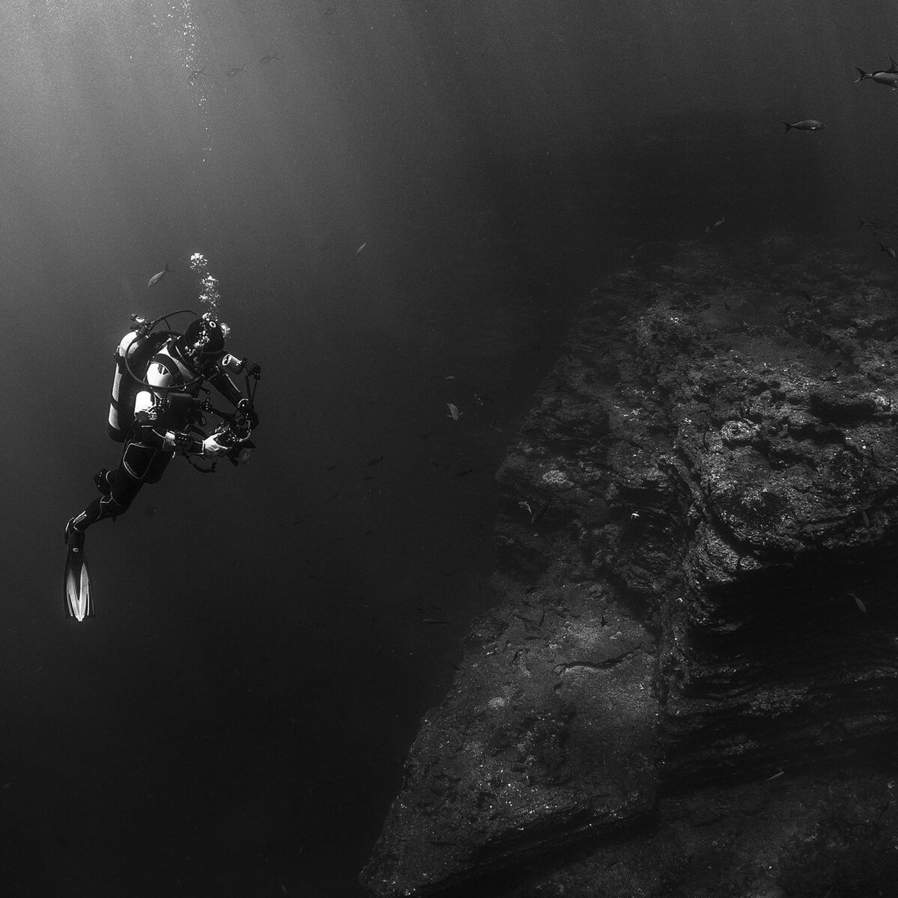 Ep. 29 - Into the Dark of the Depths