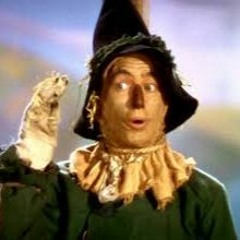 IF I ONLY HAD A BRAIN