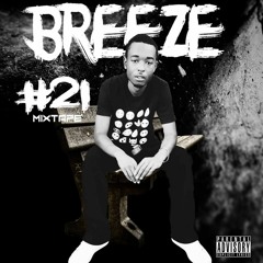 Money By Breeze