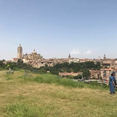 My Lady's On Fire - Ty Segall (cover on m4 dulcimer)