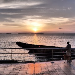 Boy Bianchi - Fireworks /Joris Voorn remix VS. Olive - You're not alone / MTH Mashup