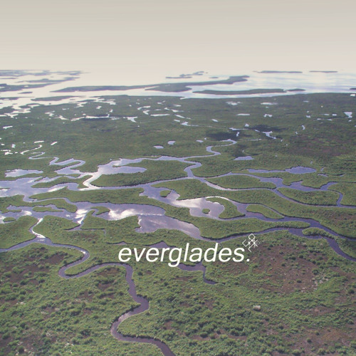 brokken. - everglades (day)