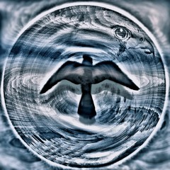 Bird of Prey (Part 1)