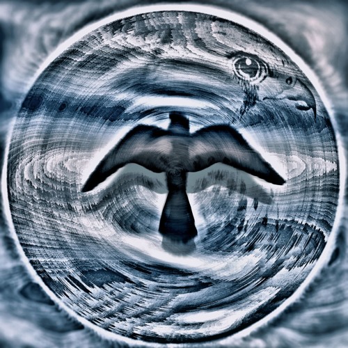 Bird of Prey (Part 2)