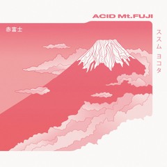 Susumu Yokota - B1. Saboten
