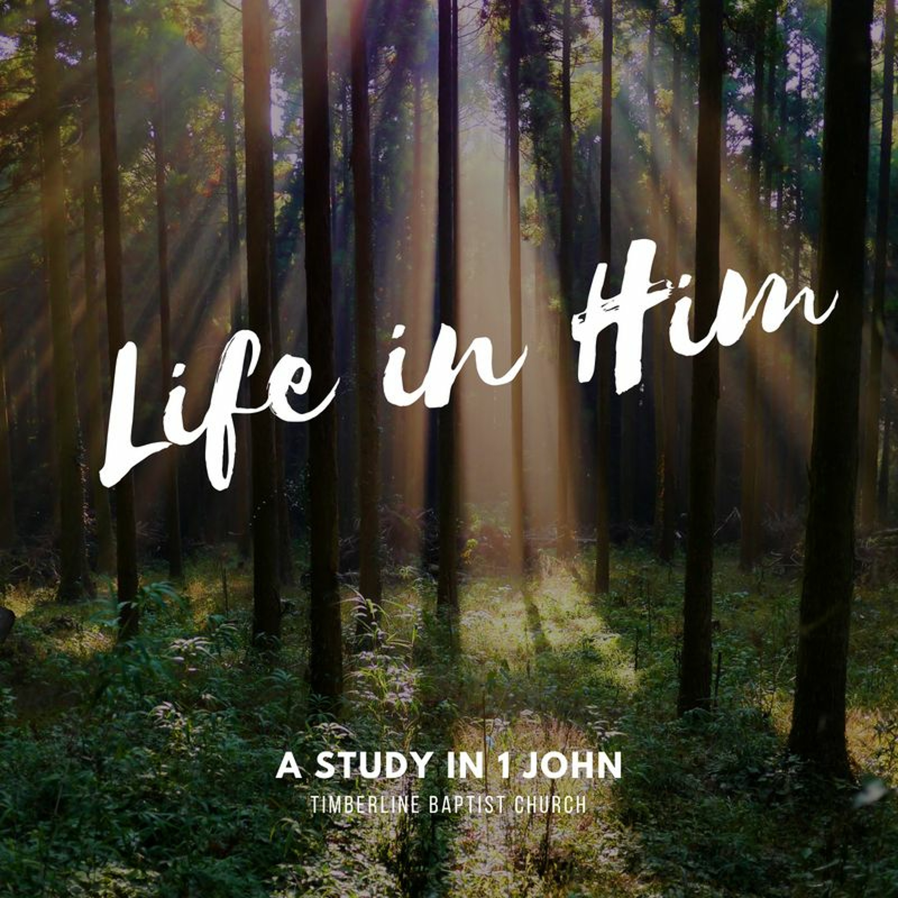 Life in Christ is Life Together (1 John 1)