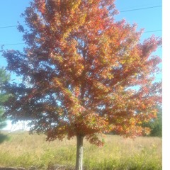 War Produced by AncientBeatz