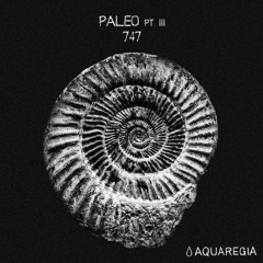 747 - Suture Lines (Original Mix) [Aquaregia]