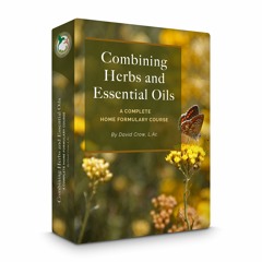 Combining Herbs and Essential Oils - Module 1