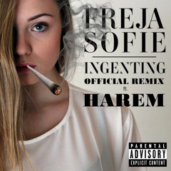 Ingenting ft. Harem - Official Remix