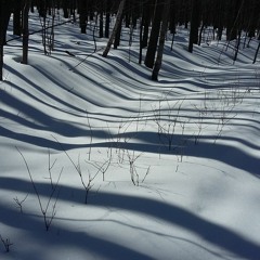 Skeleton of a Ballad