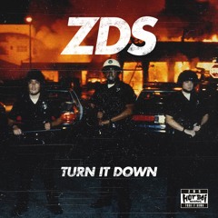 ZDS - Turn It Down (Original Mix)