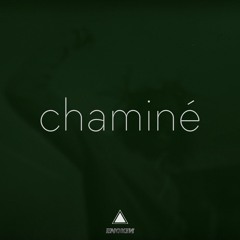 zara g - chaminé (iccarus x nokin flip)