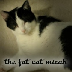 (Oops I made a new au) the fat cat micah (updated this time)