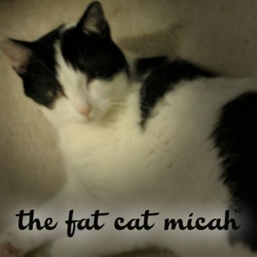(Oops I made a new au) the fat cat micah (updated this time)